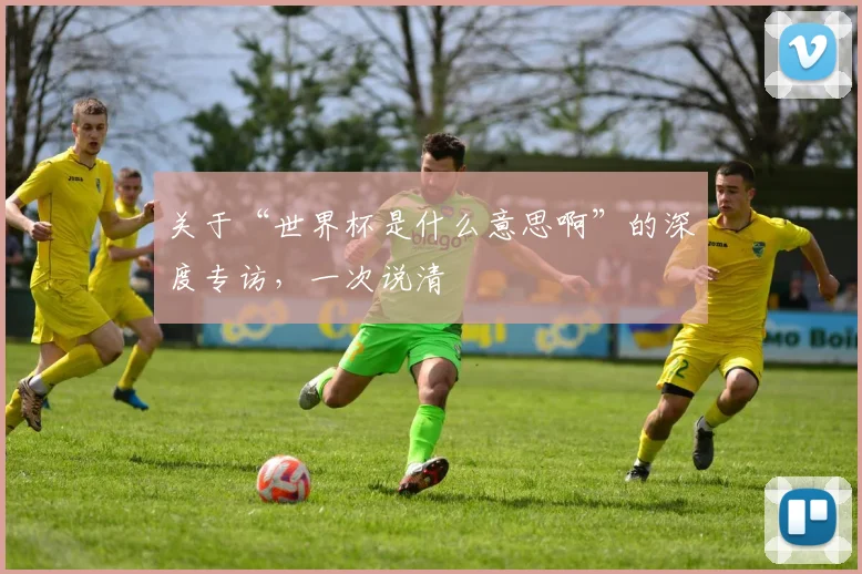 关于“世界杯是什么意思啊”的深度专访，一次说清