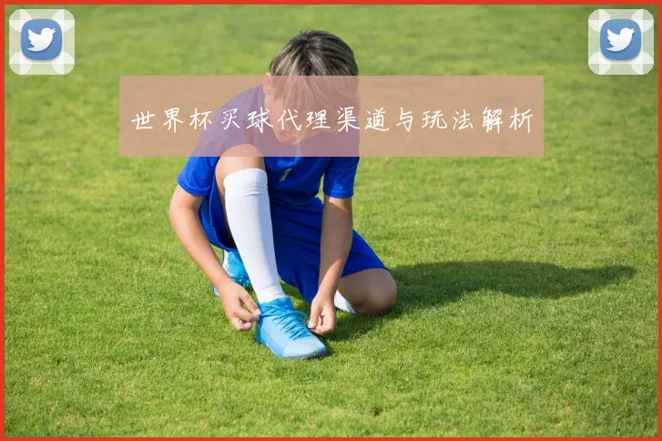 世界杯买球代理渠道与玩法解析