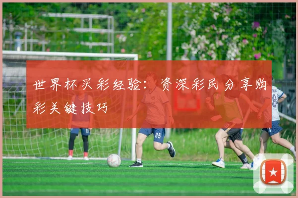 世界杯买彩经验：资深彩民分享购彩关键技巧