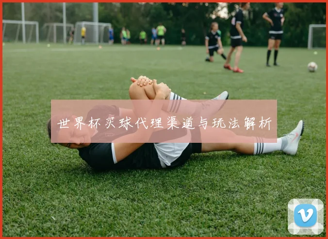 世界杯买球代理渠道与玩法解析